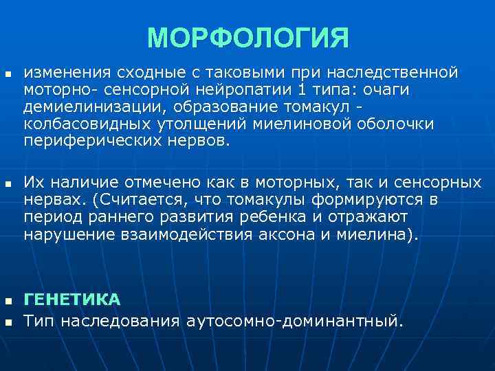  МОРФОЛОГИЯ n изменения сходные с таковыми при наследственной моторно сенсорной нейропатии 1 типа: