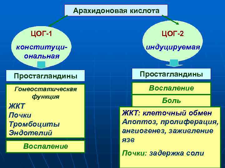  Арахидоновая кислота ЦОГ-1 ЦОГ-2 конституци- индуцируемая ональная Простагландины Гомеостатическая Воспаление функция Боль ЖКТ