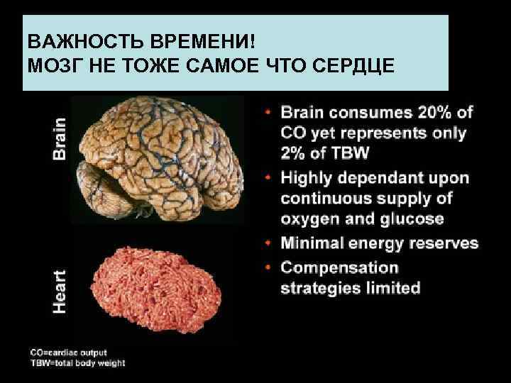 Церебральное перфузионное давление  МПД(ЦПД) =       - ВЧД(ср.