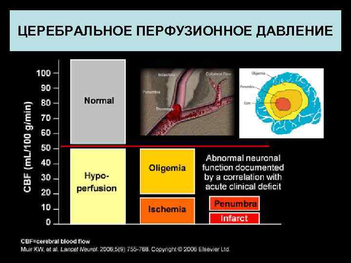   Каким исследованиям верить?   Крупные рандомизированные исследования   и/или качественный