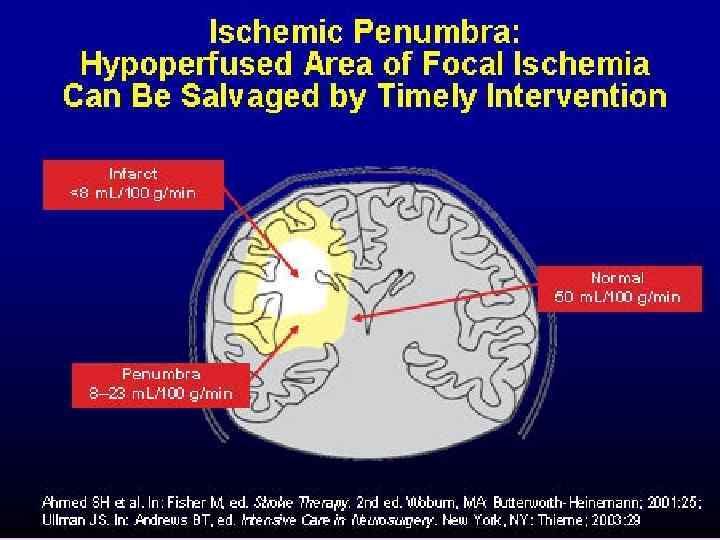 Двойные слепые рандомизированные  исследования – золотой стандарт  эффективности лечения   