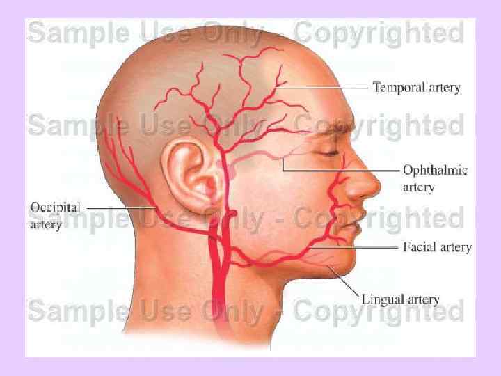   ИНСУЛЬТ: заболеваемость • 5 миллионов больных – инвалиды вследствие инсульта •
