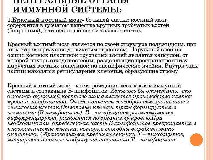  ЦЕНТРАЛЬНЫЕ ОРГАНЫ ИММУННОЙ СИСТЕМЫ: 1. Красный костный мозг- большей частью костный мозг содержится