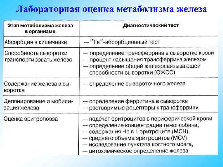 Лабораторная оценка метаболизма железа 