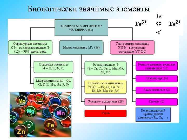 Биологически значимые элементы 