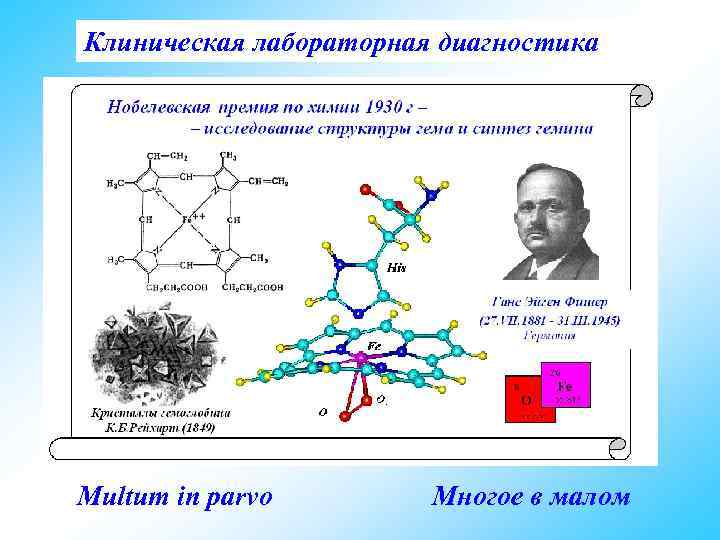 Клиническая лабораторная диагностика Multum in parvo Многое в малом 