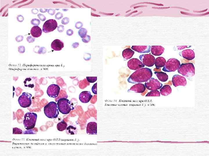 Лазерный проточный цитометр –   источник данных    Электроника Гидравлика 