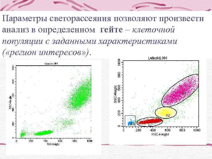  Определение клональности В-ЛПЗ     Поликлональна     