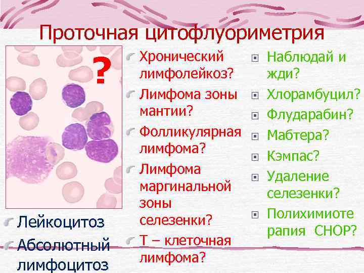    Динамика течения ХЛЛ в зависимости  число от числа опухолевых клеток