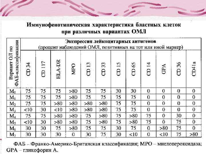  Лимфома из клеток мантийной   зоны  Составляет 6% всех злокачественных 