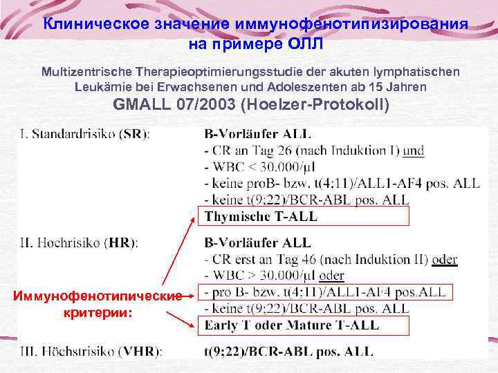 Морфология лимфоцитов 
