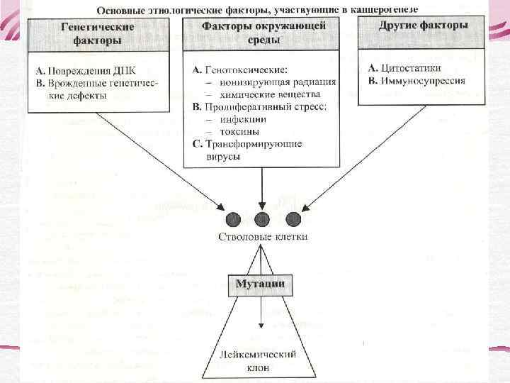 Классификация острых миелолейкозов   ВОЗ 2001 