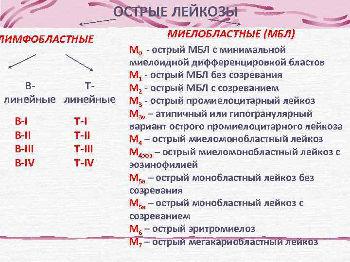 Kостный мозг. FISH – флуоресцентная in situ гибридизация 