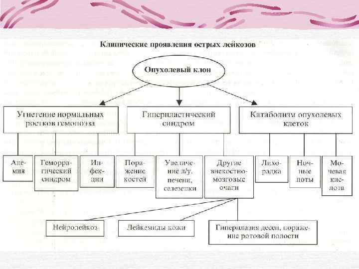    Workshops on  Human Leukocyte Differentiation Antigens Summary of the HLDA