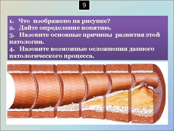  9 1. Что изображено на рисунке? 2. Дайте определение понятию. 3. Назовите основные