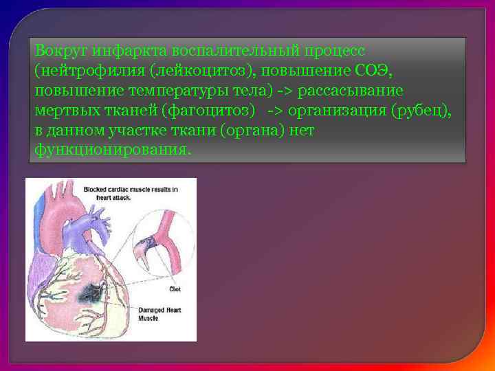  Механизм тромбообразования складывается из сочетаний трех факторов:  Ø замедление кровотока;  Ø