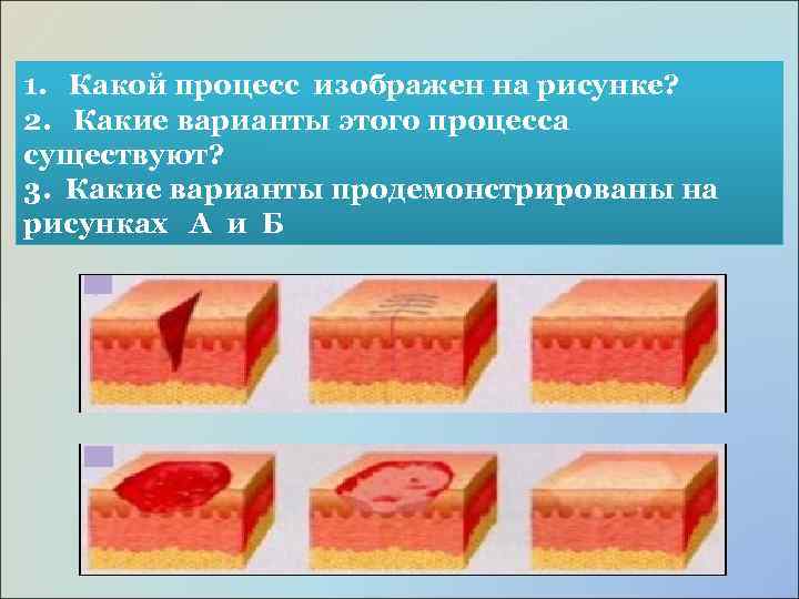 1. Какой процесс изображен на рисунке? 2. Какие варианты этого процесса существуют? 3. Какие
