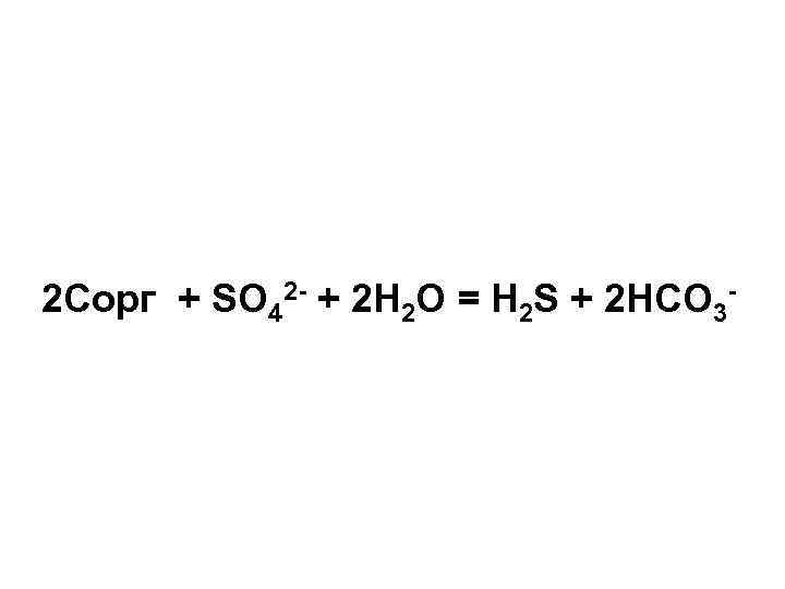 2 Cорг + SO 42 - + 2 H 2 O = H 2