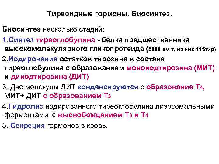  Тиреоидные гормоны. Биосинтез несколько стадий: 1. Синтез тиреоглобулина - белка предшественника высокомолекулярного гликопротеида