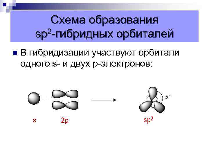  Схема образования sp 2 -гибридных орбиталей n В гибридизации участвуют орбитали одного s-