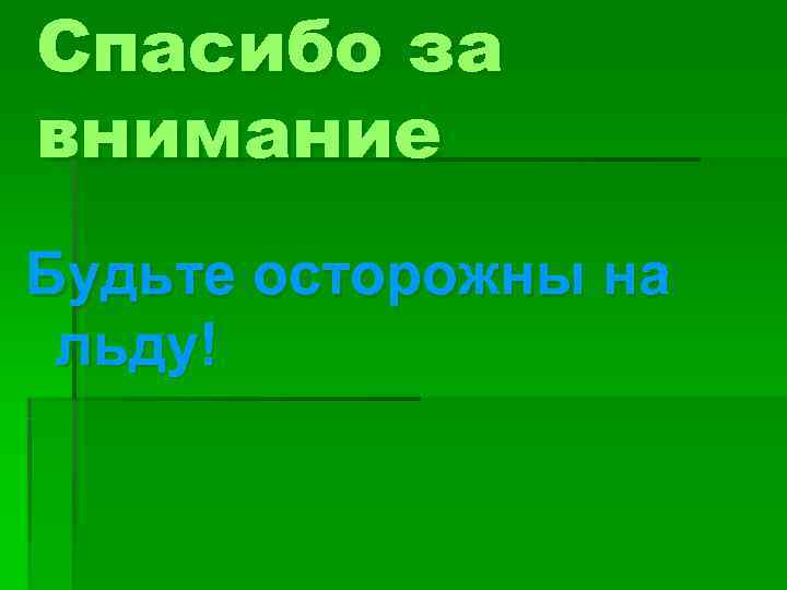 Спасибо за внимание Будьте осторожны на льду! 