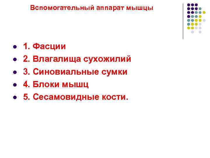  Вспомогательный аппарат мышцы l 1. Фасции l 2. Влагалища сухожилий l 3. Синовиальные