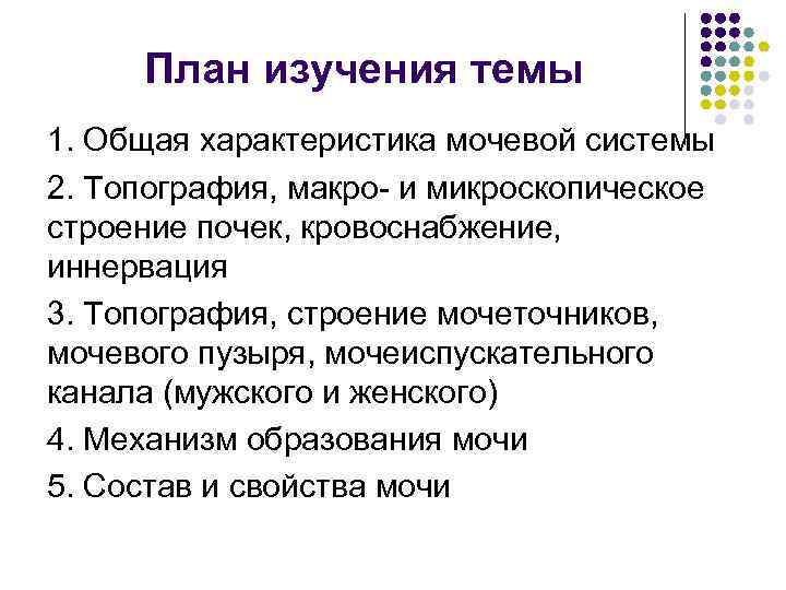 План изучения темы 1. Общая характеристика мочевой системы 2. Топография, макро- и микроскопическое План изучения темы 1. Общая характеристика мочевой системы 2. Топография, макро- и микроскопическое