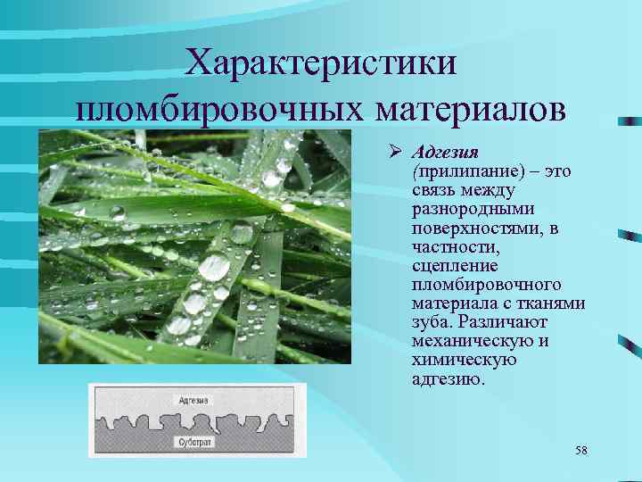 А как задумано природой?      Сила адгезии между  