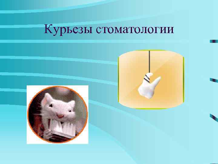 ИНСТРУМЕНТЫ 