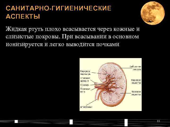 САНИТАРНО-ГИГИЕНИЧЕСКИЕ АСПЕКТЫ Жидкая ртуть плохо всасывается через кожные и слизистые покровы. При всасывании в