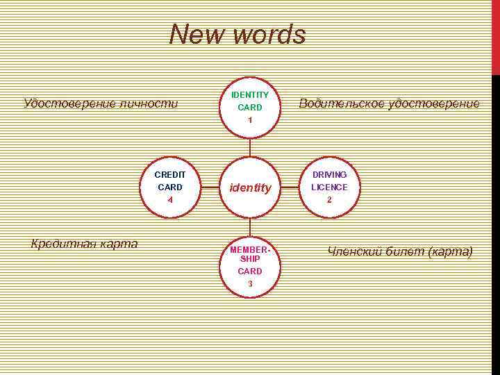  New words IDENTITY Удостоверение личности CARD Водительское удостоверение 1 CREDIT DRIVING CARD identity