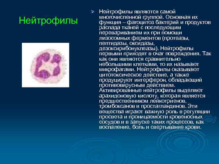   Ситуационная задача по теме: Больная Б. , 25 лет, поступила в клинику