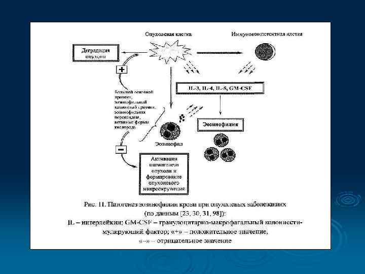  Патологические формы  лейкоцитов РЕГЕНЕРАТИВНЫЕ    ДЕГЕНЕРАТИВНЫЕ    