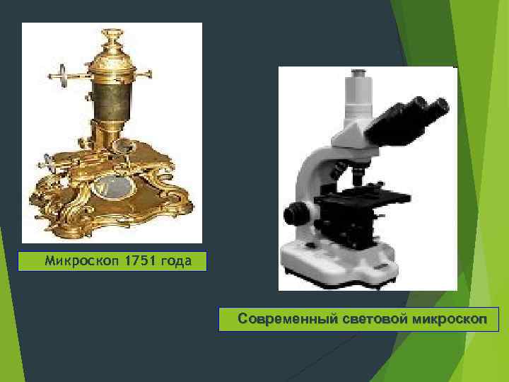 Микроскоп 1751 года Современный световой микроскоп 