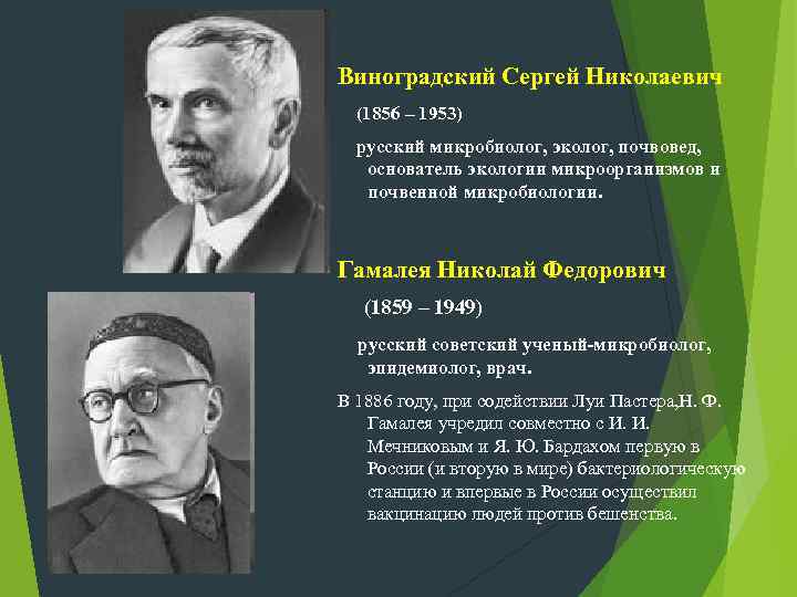 Виноградский Сергей Николаевич (1856 – 1953) русский микробиолог, эколог, почвовед, основатель экологии микроорганизмов и