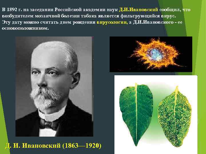 В 1892 г. на заседании Российской академии наук Д. И. Ивановский сообщил, что возбудителем