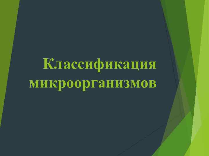  Классификация микроорганизмов 
