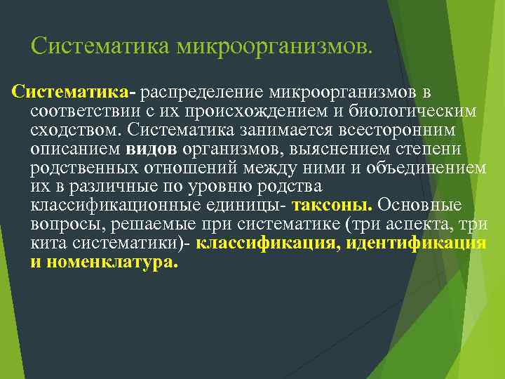 Основным руководством по систематике микроорганизмов является