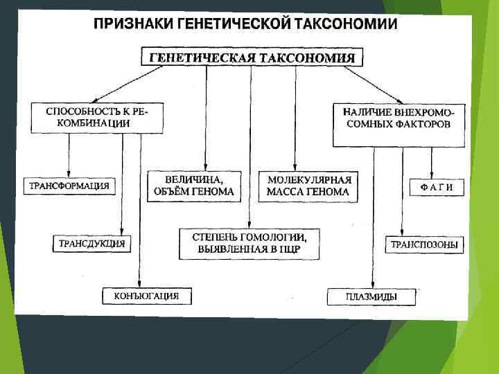 Схема классификация клизм