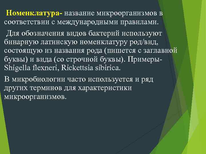Кокковидные бактерии (кокки) по характеру взаиморасположения после деления подразделяются на ряд вариантов.  1.