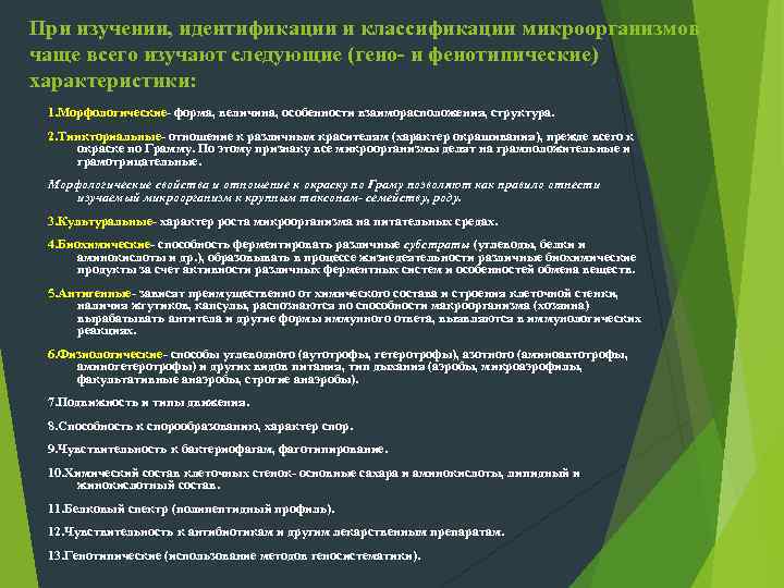 Эубактерии: А. Мицелиальные формы     Mycobacterium, Actino-    myces,