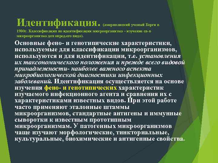 б. грамотрицательные: кокки      Neisseria некишечные палочки в т. ч.