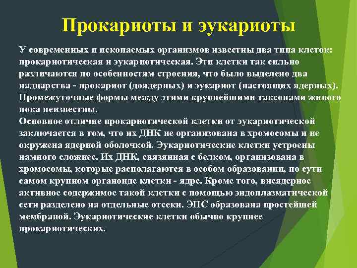   Прокариоты и эукариоты У современных и ископаемых организмов известны два типа клеток: