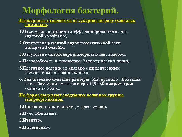 Цитоплазматическая мембрана Ограничивает с наружной стороны  цитоплазму, имеет трехслойное строение и  выполняет