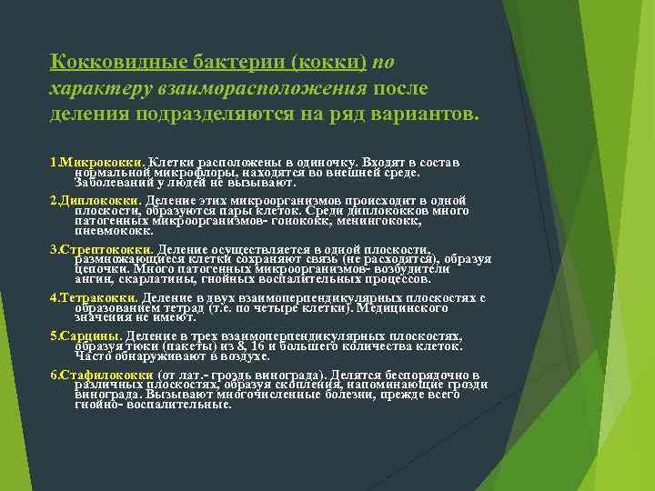 Особенности клеточной стенки грамположительных бактерий.  Мощная, толстая, несложно организованная клеточная стенка, в 