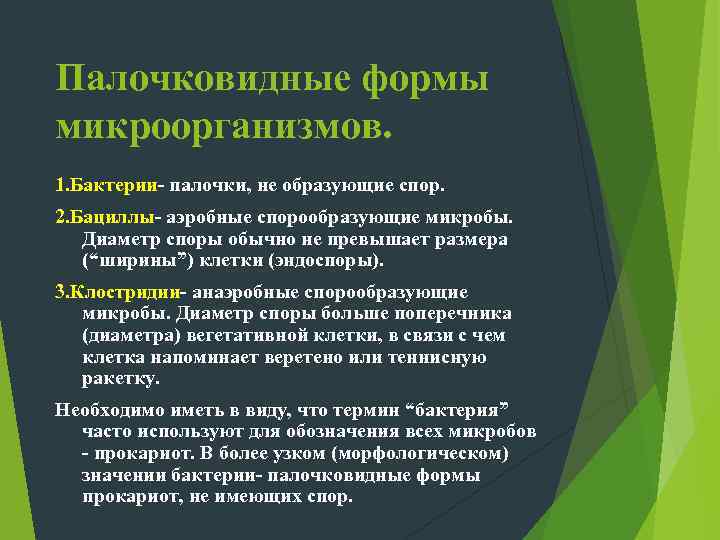  L- формы бактерий (примеры…   Под действием ряда факторов, неблагоприятно действующих на