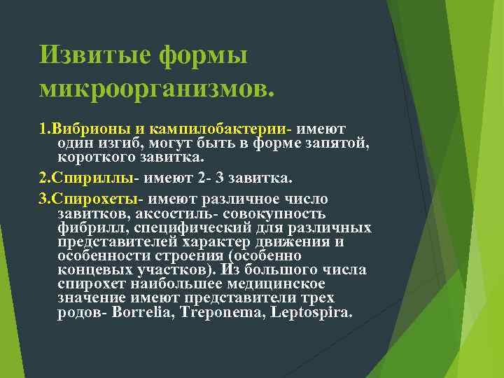 К поверхностным структурам бактерий (необязательным, как и клеточная стенка),  относятся капсула, жгутики, микроворсинки.