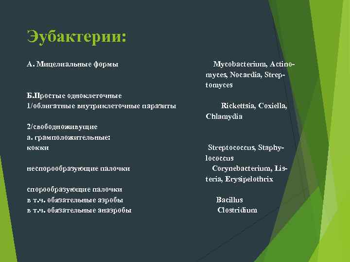   Жгутики. Подвижные бактерии могут быть скользящие (передвигаются по твердой поверхности в результате