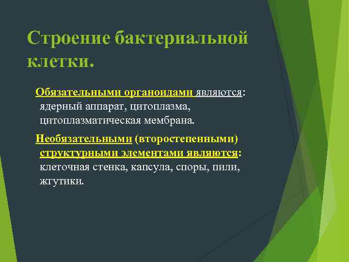 Эндоспоры и спорообразование. Спорообразование- способ сохранения определенных видов бактерий в неблагоприятных условиях среды. Эндоспоры