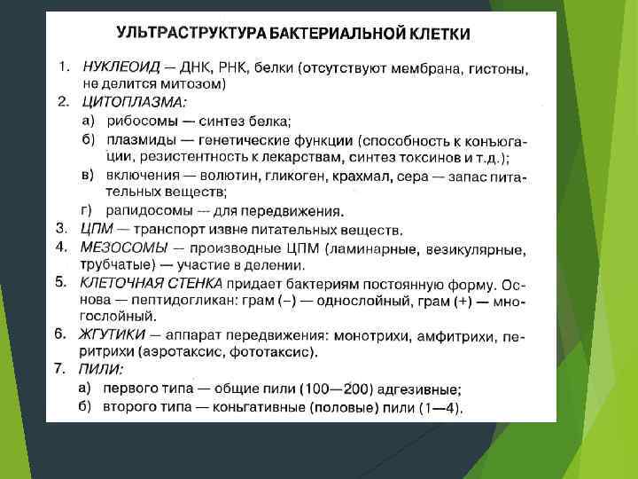 Вирусы и плазмиды. Особое место среди микроорганизмов зани- мают вирусы (от лат. virus -